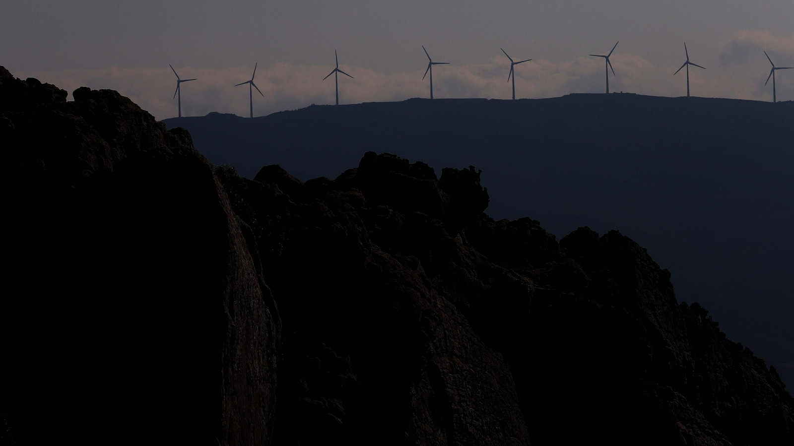 Fotos del sendero del Canuto del Arca en Tarifa