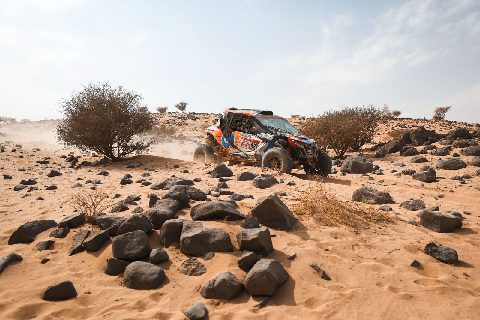 Las mejores fotos del Rally Dakar | undécima etapa