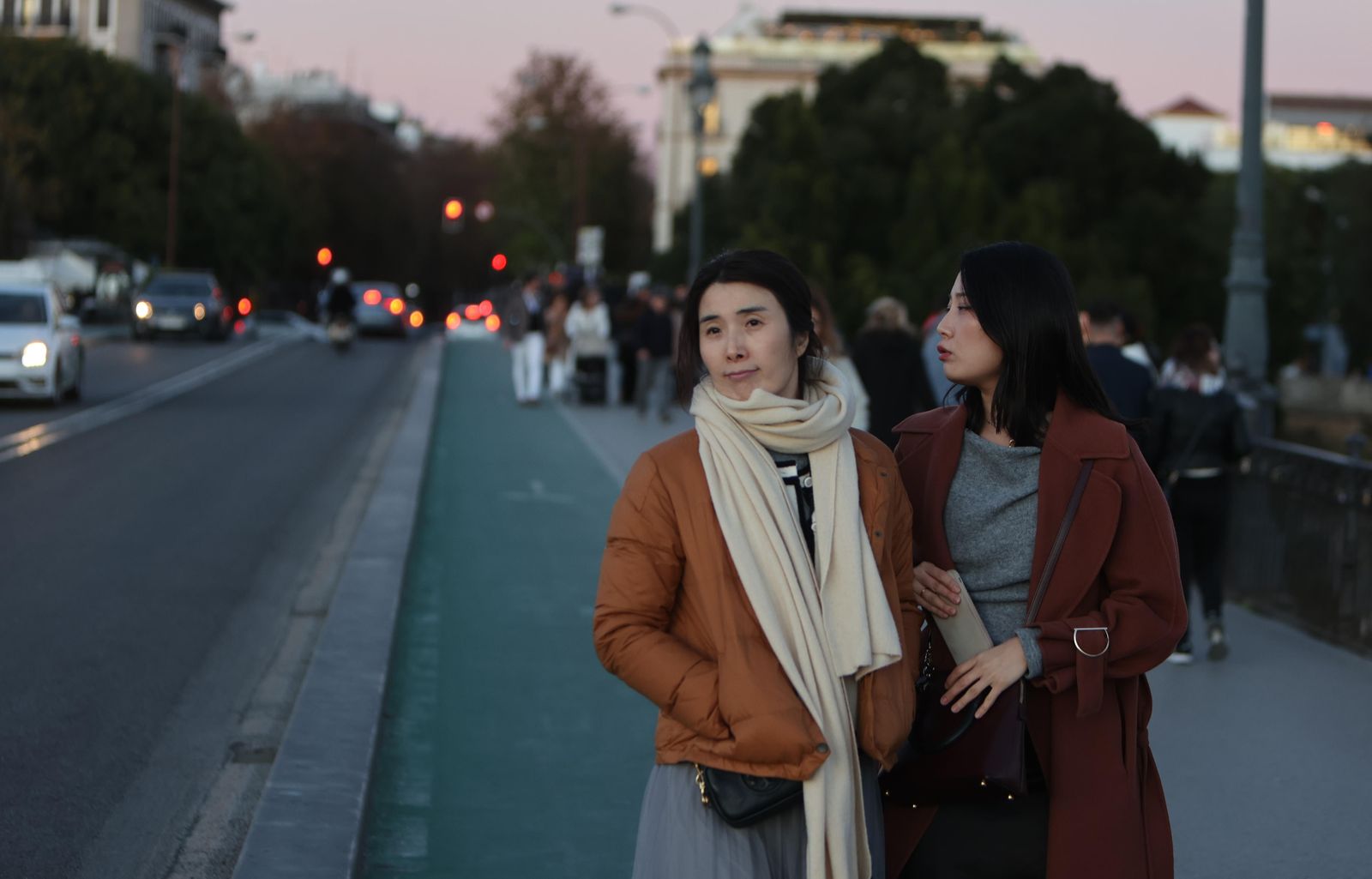 Las imágenes de la ola de frío polar en Sevilla