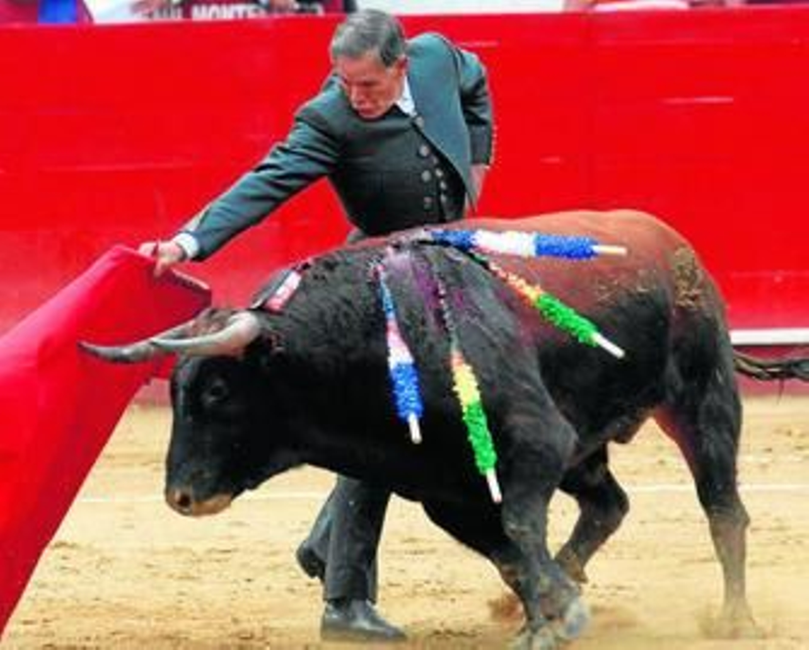 El matador de toros Francisco Ruiz Miguel, toreando con la muleta a su novillo.