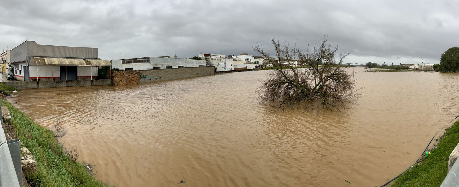 Lora del Río, ante la crecida del Guadalquivir: así lo contiene el muro de defensa
