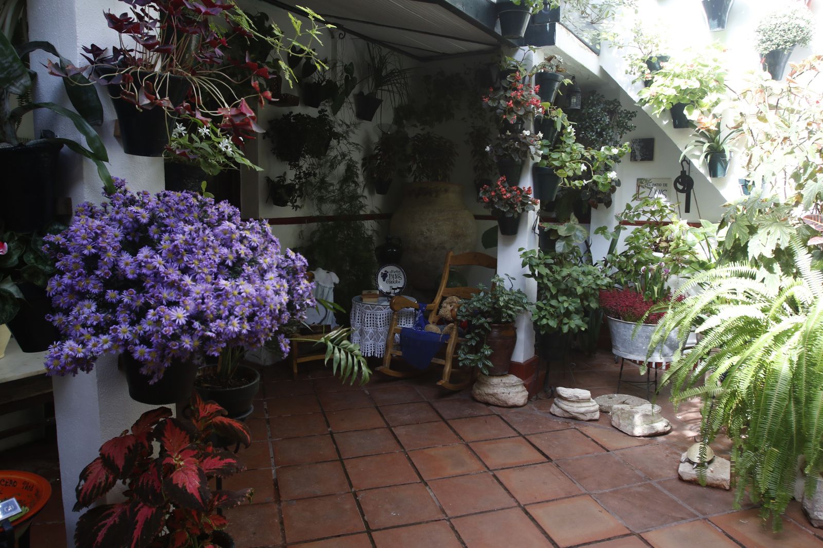 Las fotografías de los Patios de Córdoba en otoño