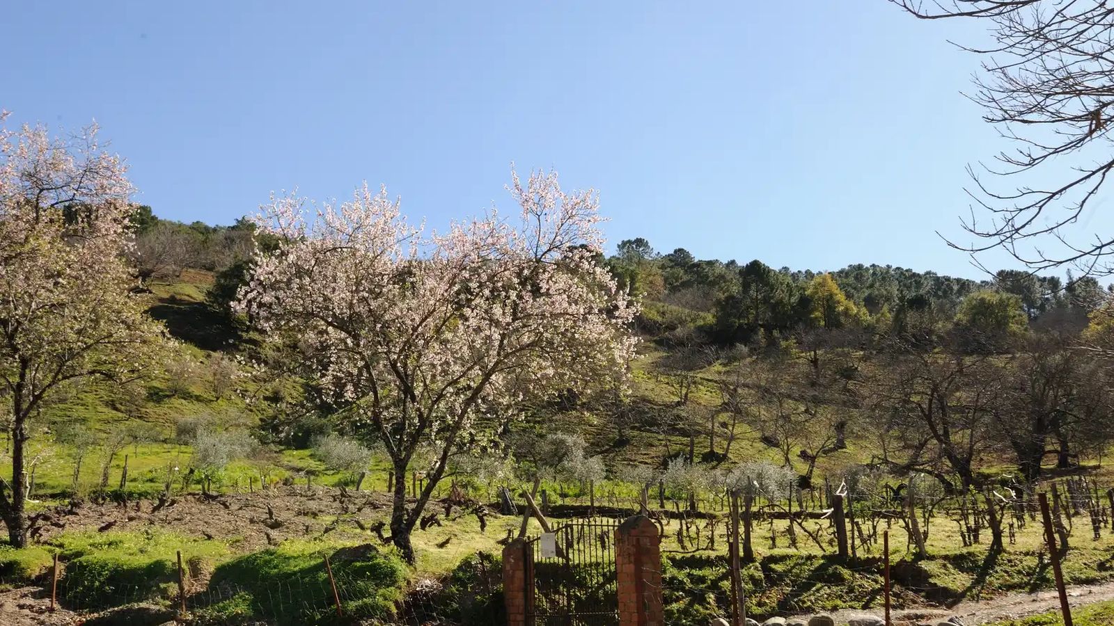 Uno de los tramos en el camino.