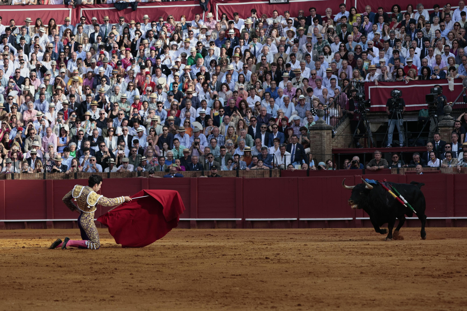 las imágenes del festejo