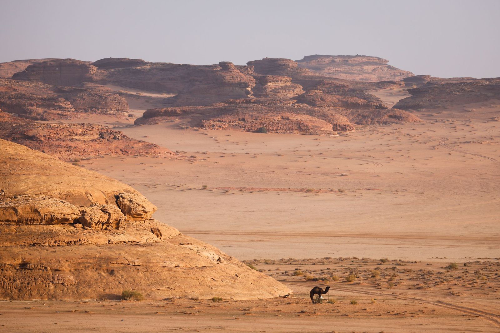 Las mejores fotos del Rally Dakar | Cuarta etapa
