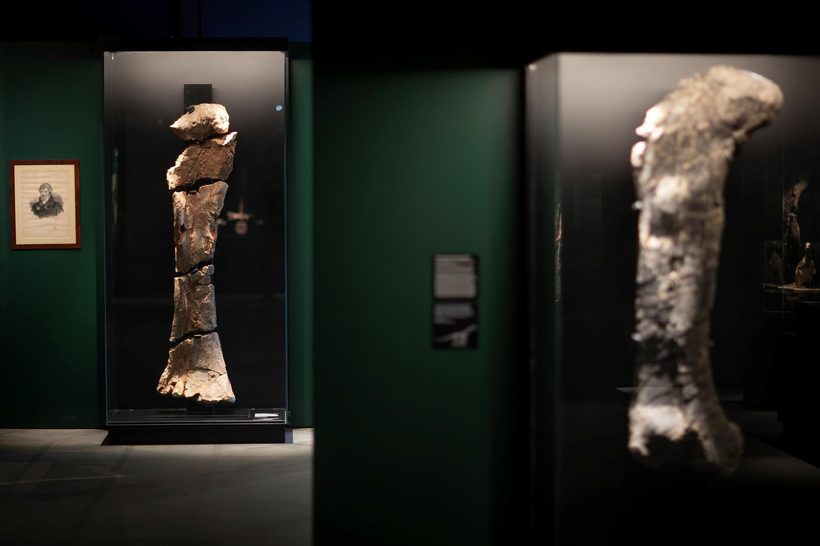 Así se han apoderado los dinosaurios del Parque de las Ciencias de Granada