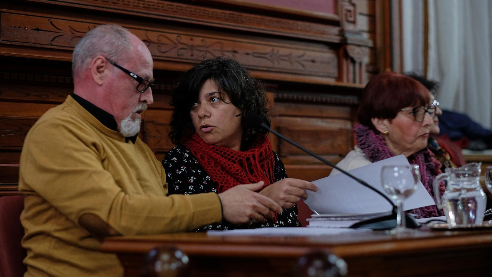 Los concejales de IU Carmen Álvarez y Fernando Cabral, en un pleno municipal. Los concejales de IU Carmen Álvarez y Fernando Cabral, en un pleno municipal.