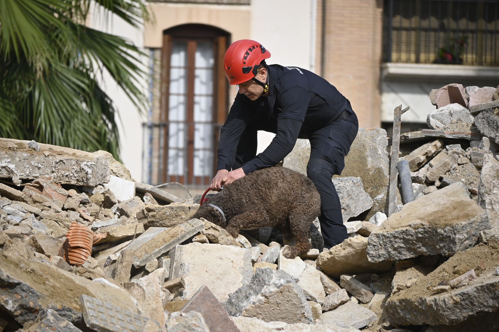 Simulacro de rescate de la Unidad Canina, en la Plaza de la Merced