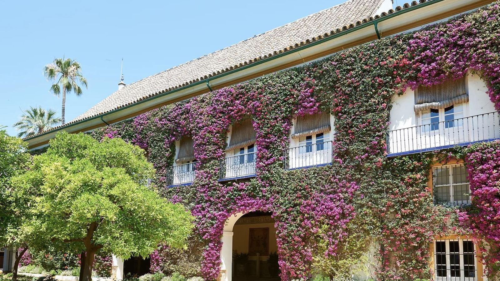 Fachada del Palacio de las Dueñas