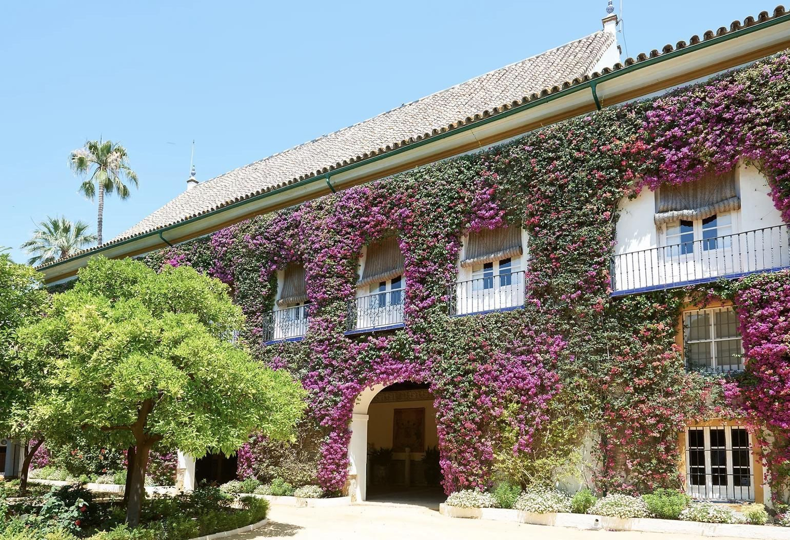 Fachada del Palacio de las Dueñas