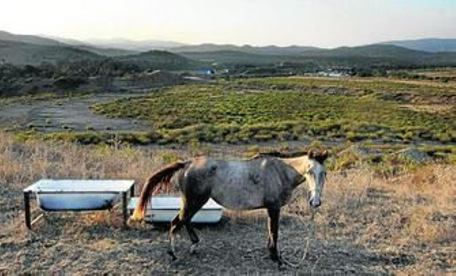Imagen reciente de los terrenos que componen la finca La Gertrudis.