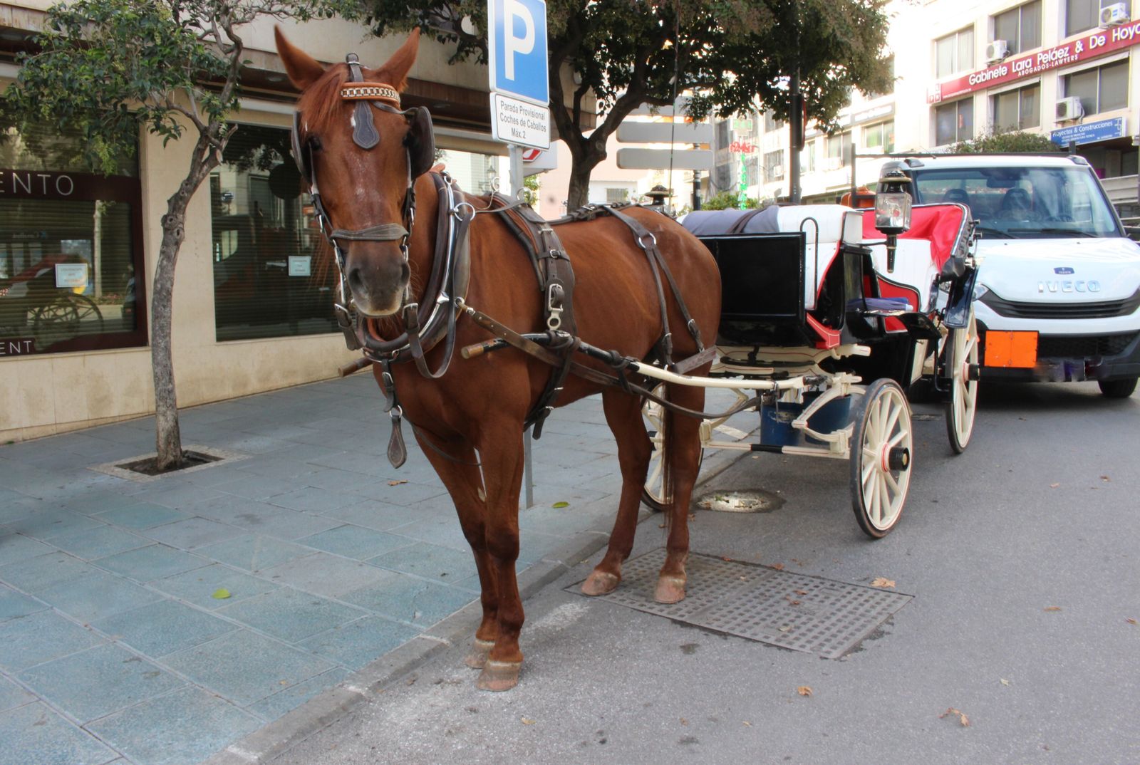 Un coche de caballos en la parada situada en la avenida Miguel Cano.