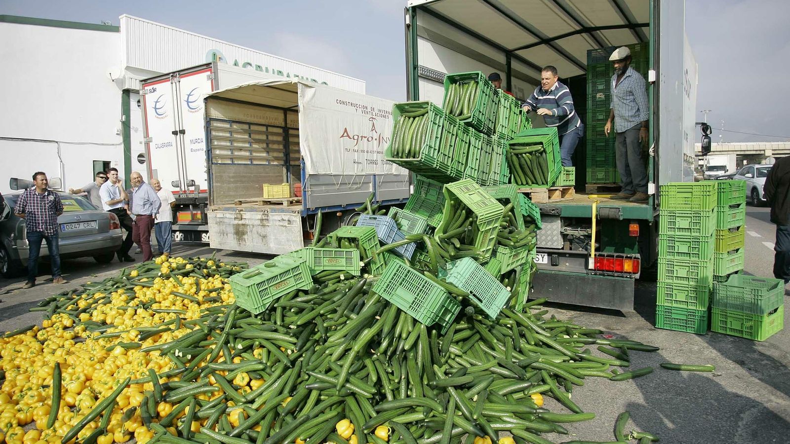 Agricultores tiran producto.