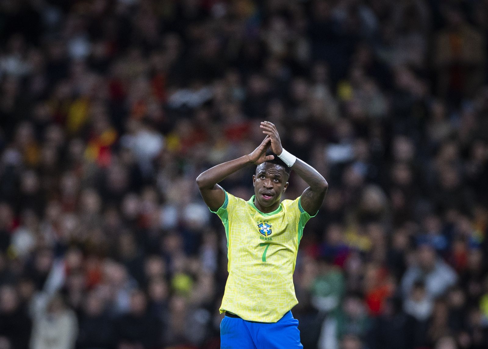 Las fotos del España - Brasil