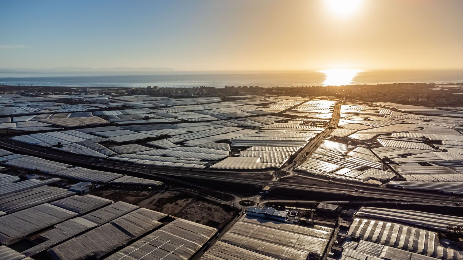 El modelo económico de este municipio del poniente depende en gran medida del sector hortofrutícola.
