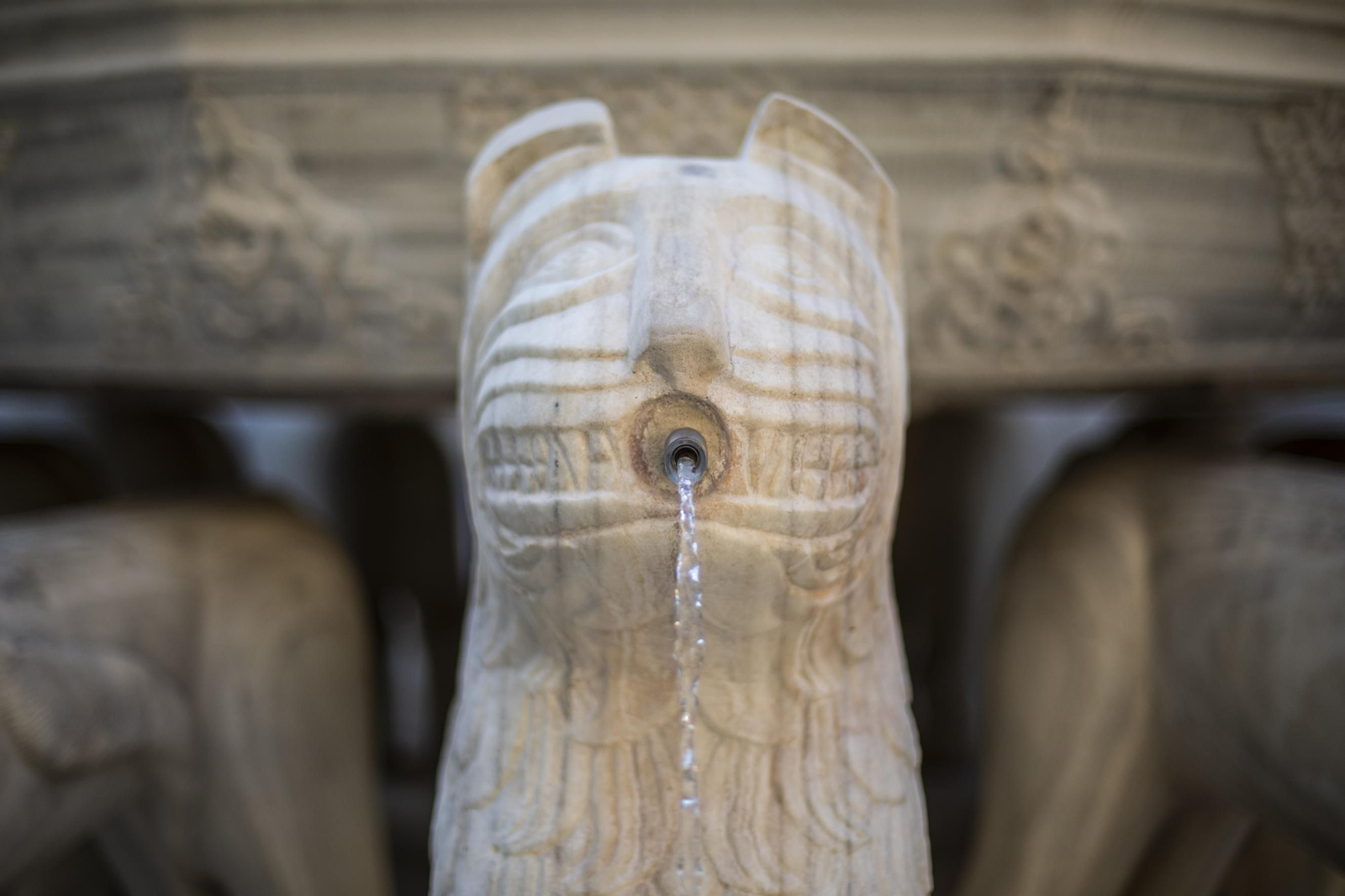 Fotos de la Alhambra en el Día Mundial del Patrimonio