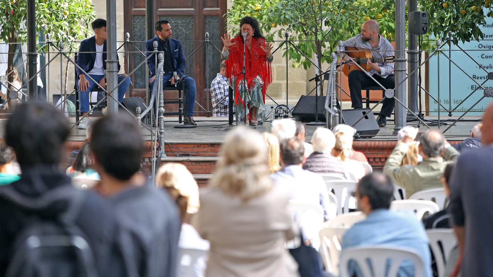Imágenes del Día del Flamenco 2024 en Jerez
