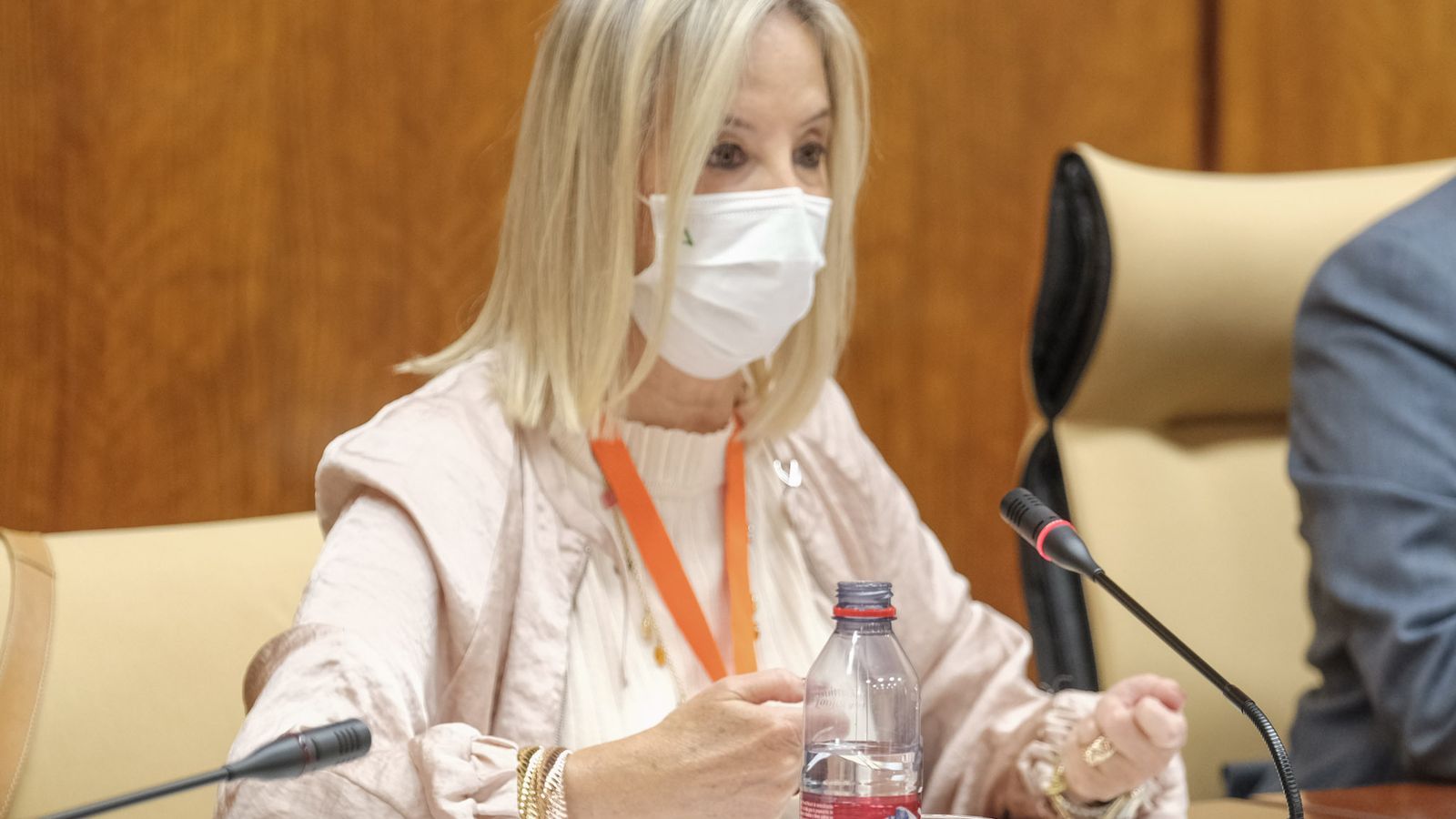 La fiscal superior de Andalucía, Ana Tárrago, en el Parlamento.