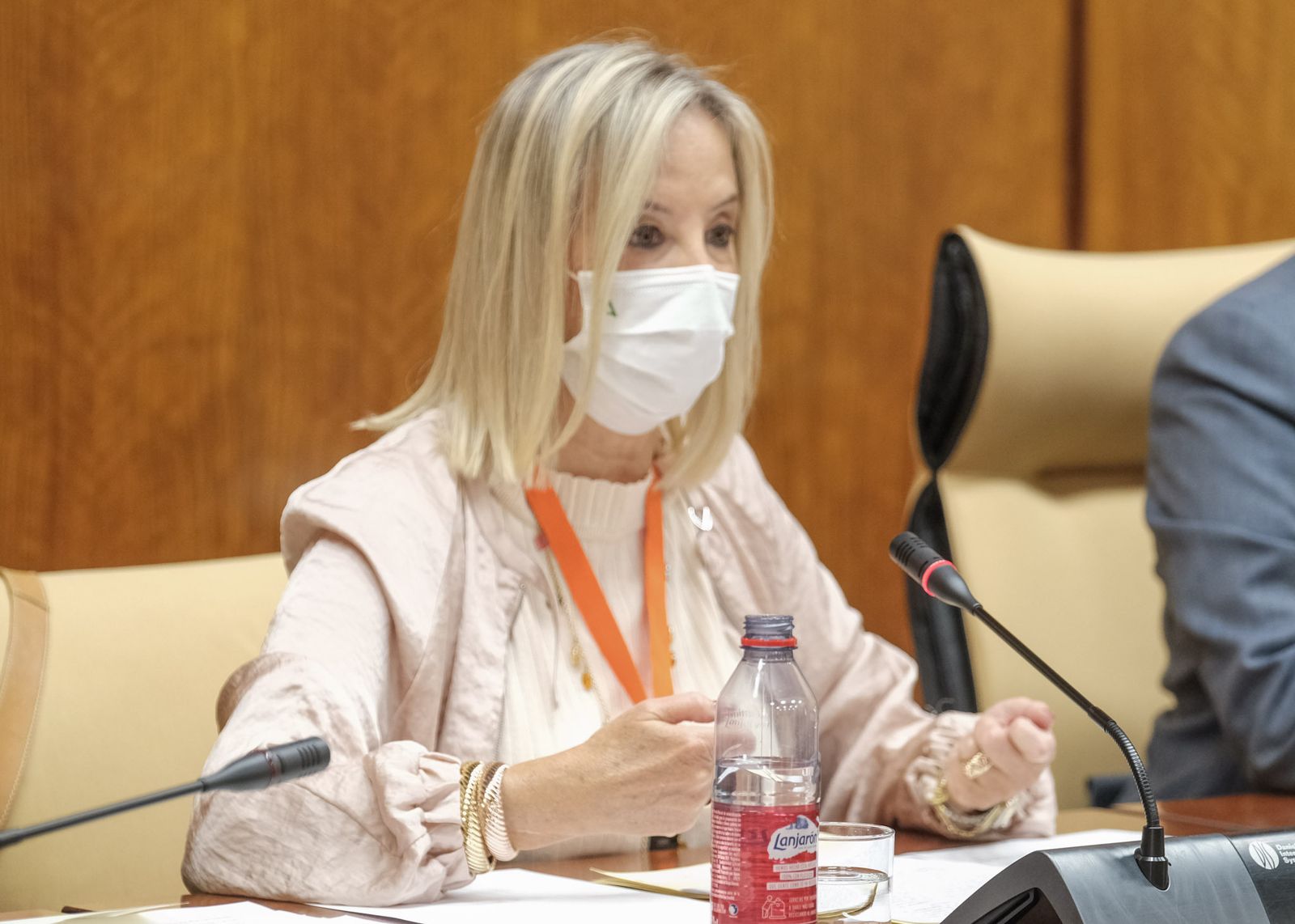 La fiscal superior de Andalucía, Ana Tárrago, en el Parlamento.