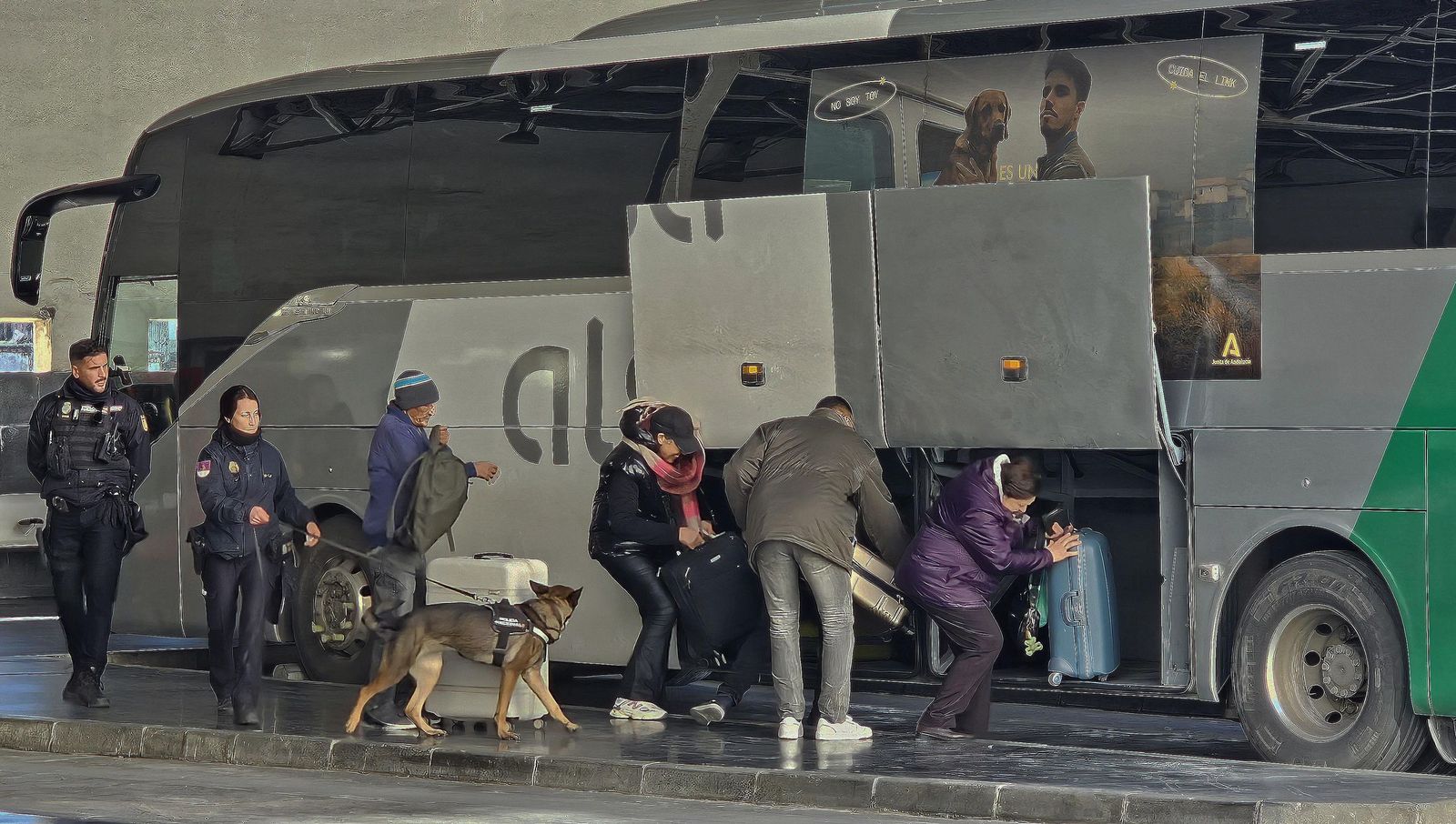 La consternación en Algeciras por la tragedia ferroviaria de Adamuz, en imágenes