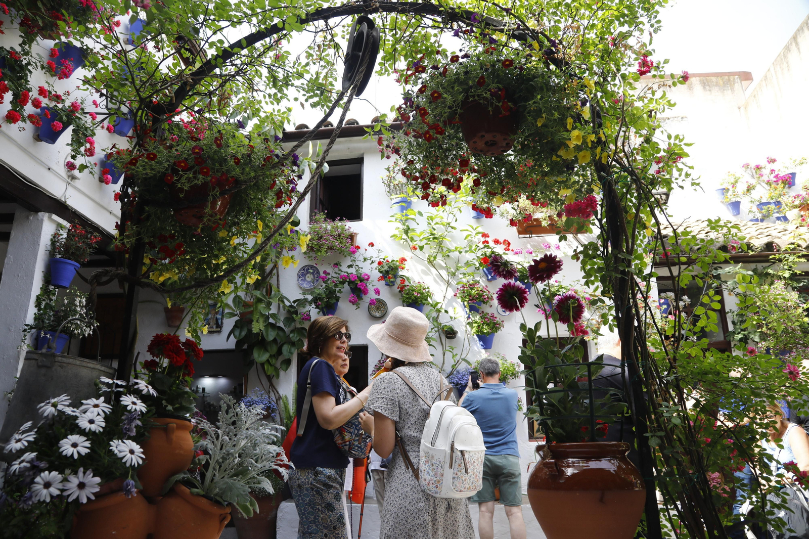 El primer día de Patios en Córdoba, en imágenes