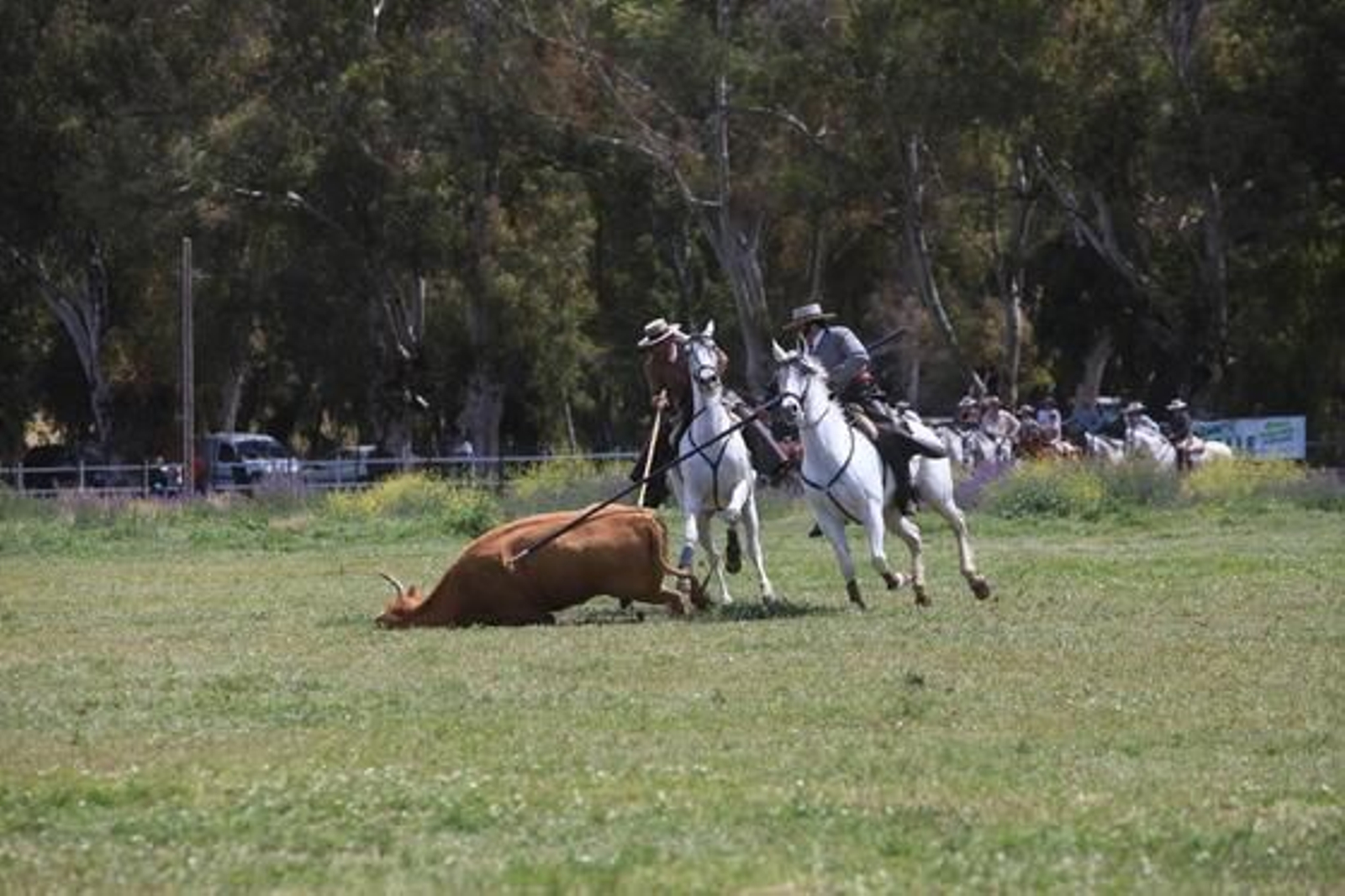 Los jerezanos Tomás y Felipe Morenés se hicieron con un trofeo reñido en un escenario muy recuperado de la lluvia.

Foto: Vanesa Lobo