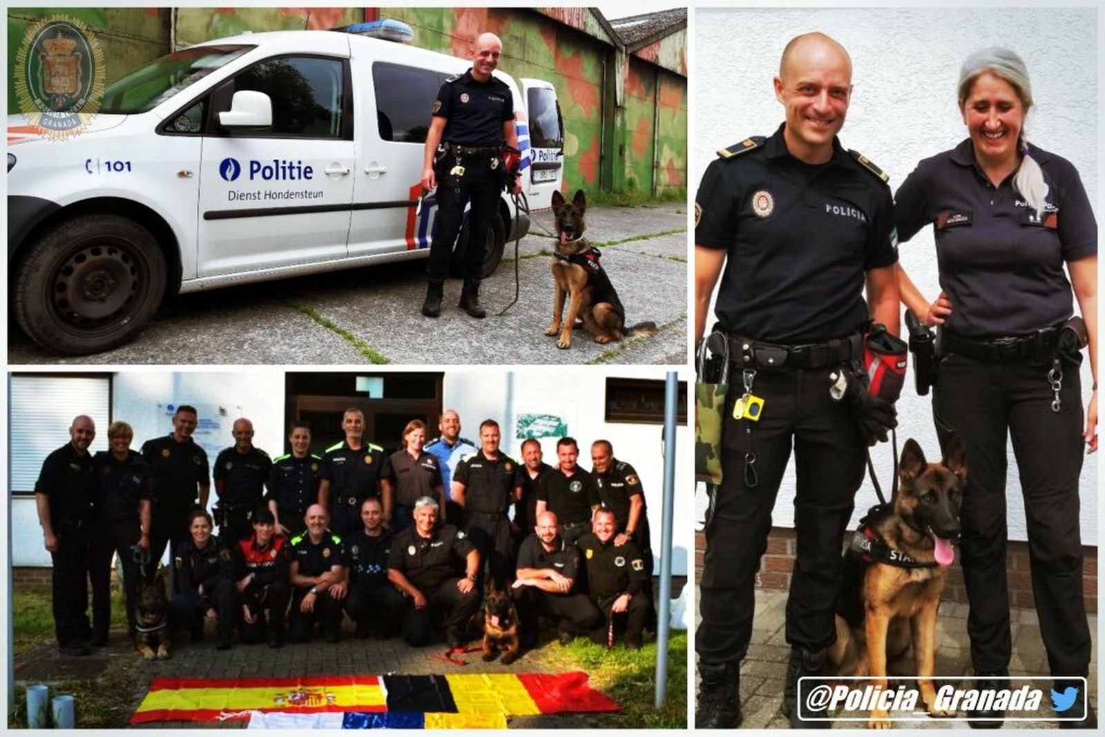 El perro policía Stan Lee en su curso formativo en Bélgica