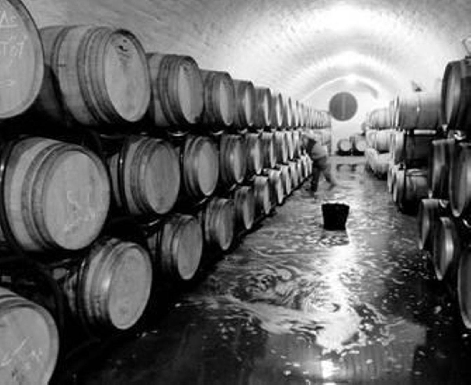 Interior de una de las bodegas de la zona.