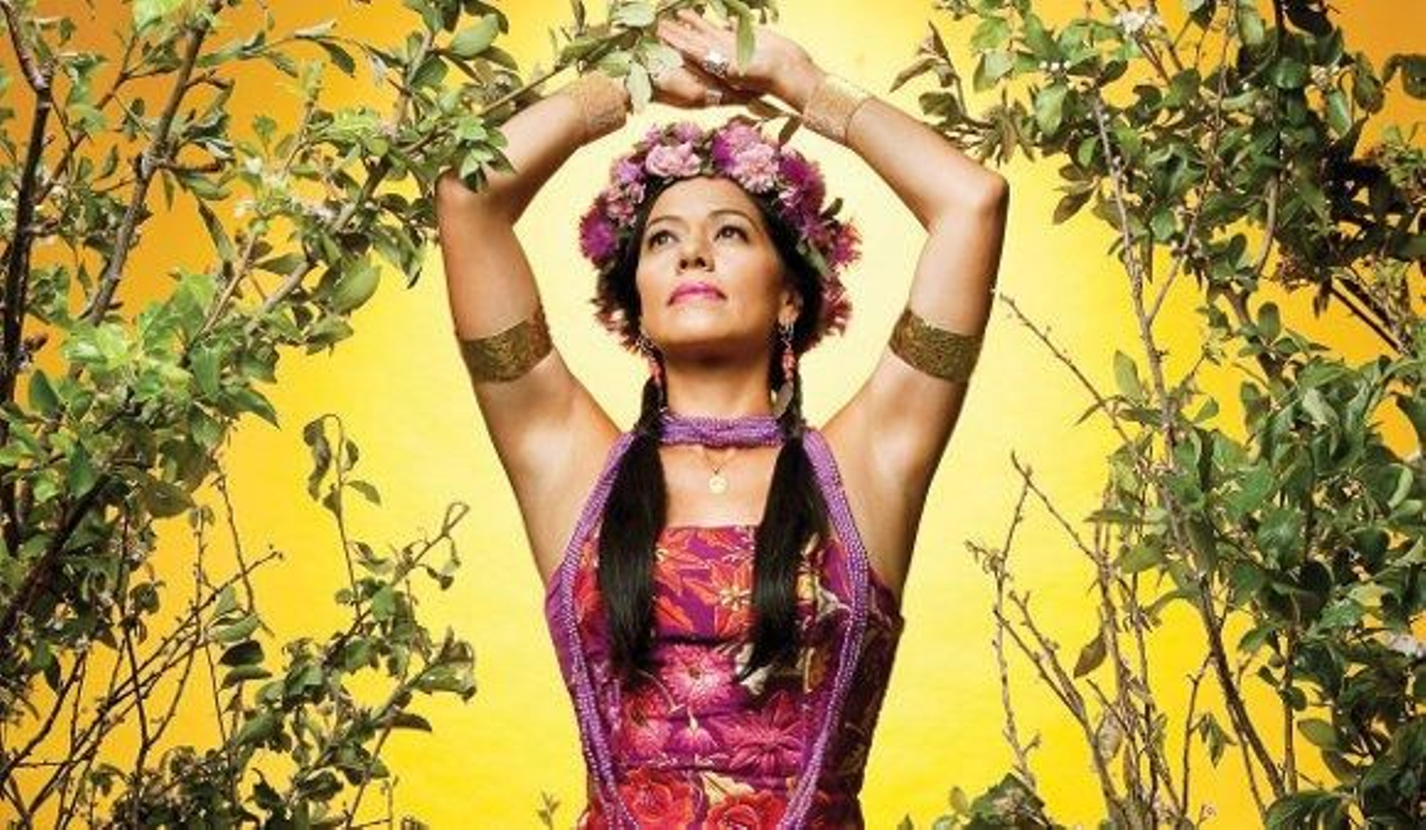 Cancelado el concierto de Lila Downs en el Falla