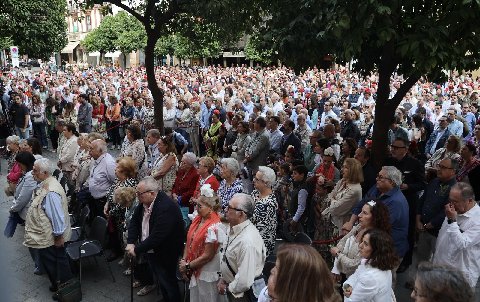 Las mejores fotos de la salida de la Hermandad de Sevilla hacia el Rocío