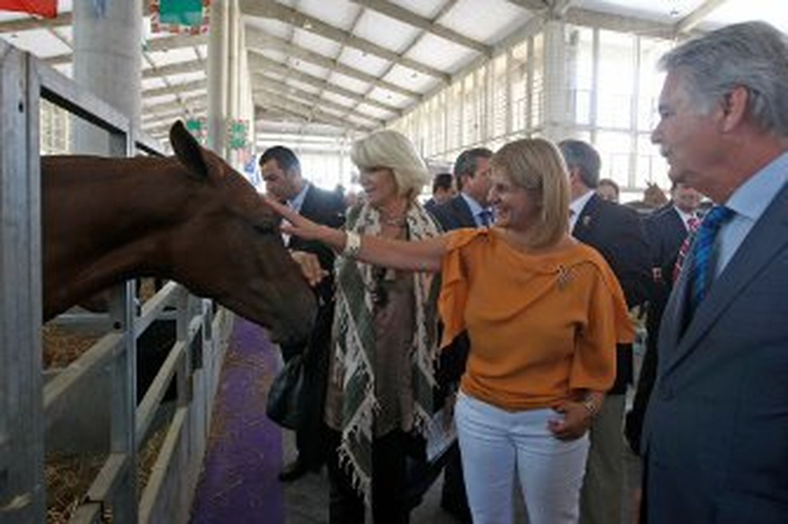 Ganaderos y ganadores