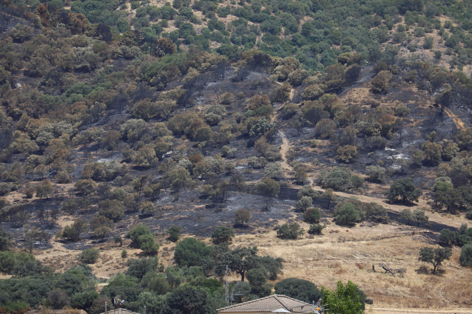 Zona cero del incendio de la Sierra de Córdoba