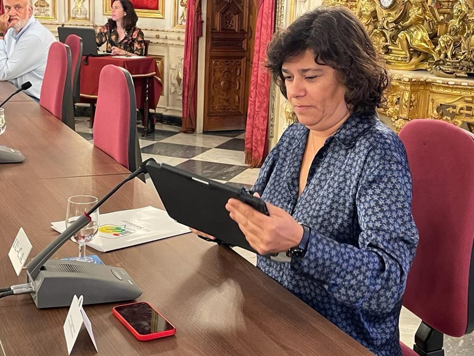 La portavoz de IU en la Diputación, Carmen Álvarez, en la última sesión del Pleno de la institución provincial. La portavoz de IU en la Diputación, Carmen Álvarez, en la última sesión del Pleno de la institución provincial.