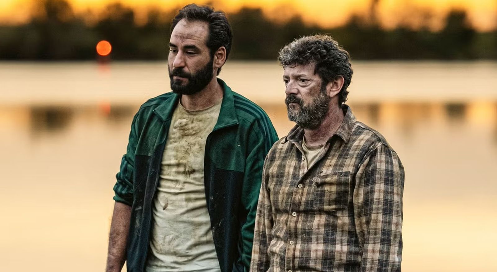 El Cielo de los Animales