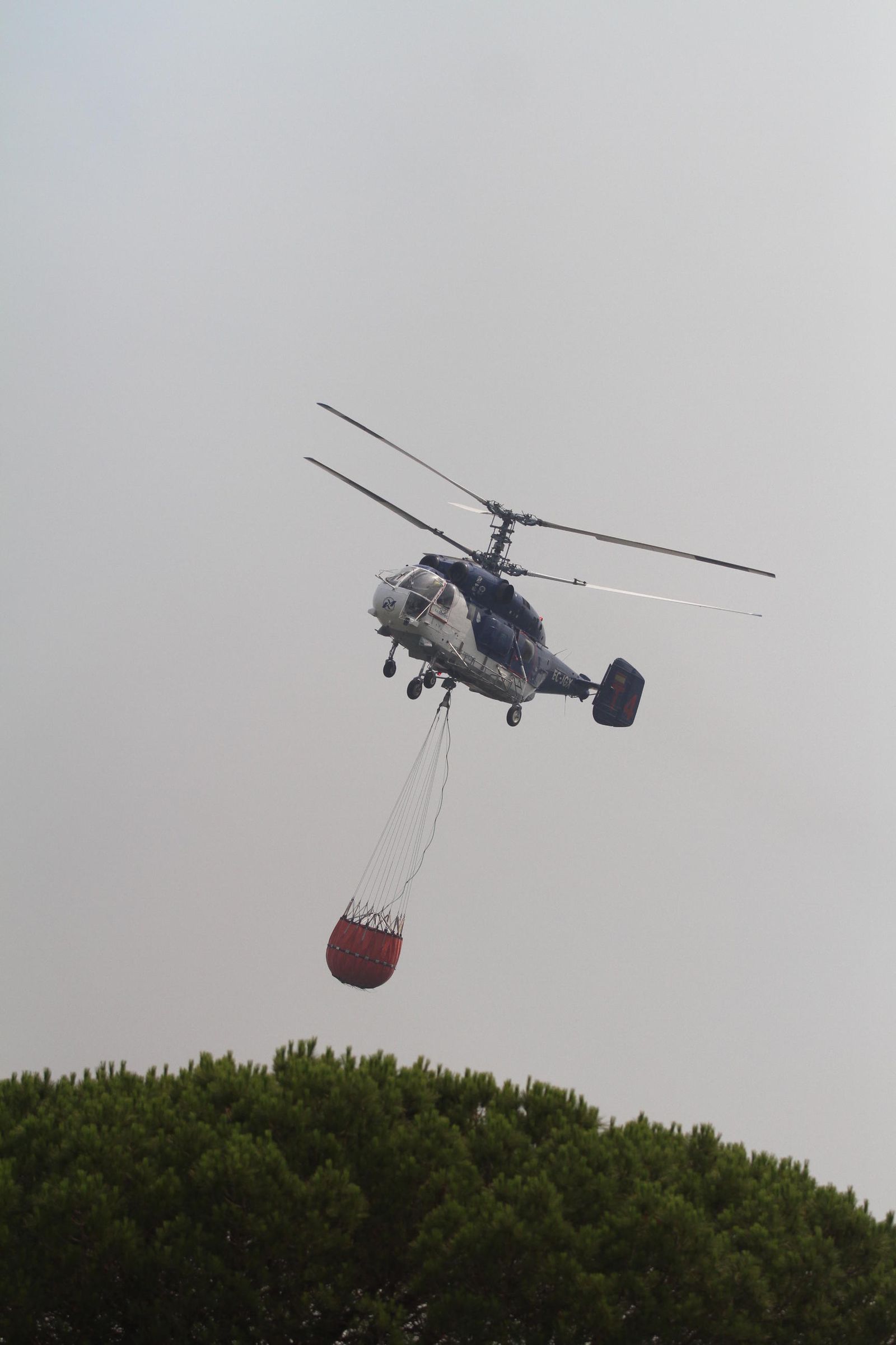 Las imágenes del incendio en Moguer y Mazagón