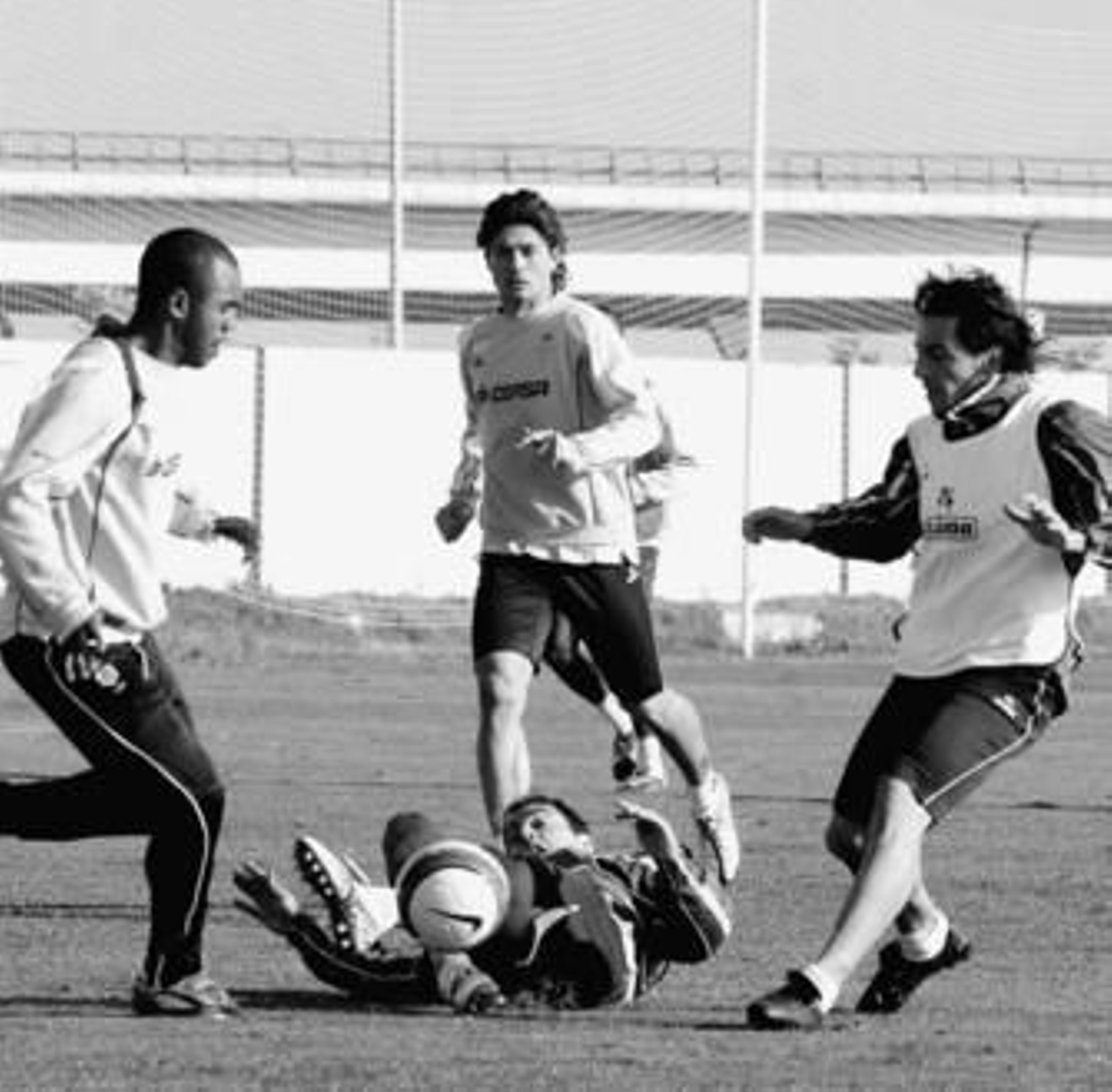 goles goles