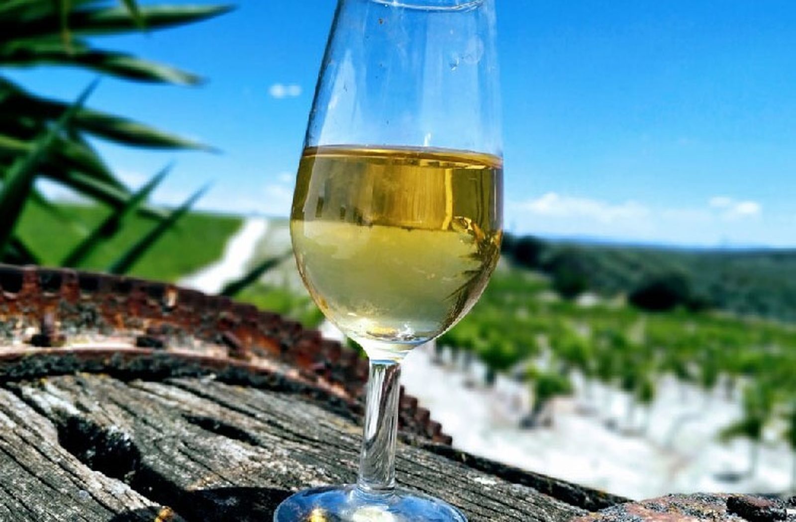 Una copa con fino de Lagar de los Frailes.