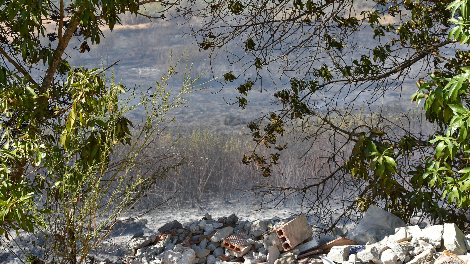 Las fotos del incendio en la barriada de San Bernabé