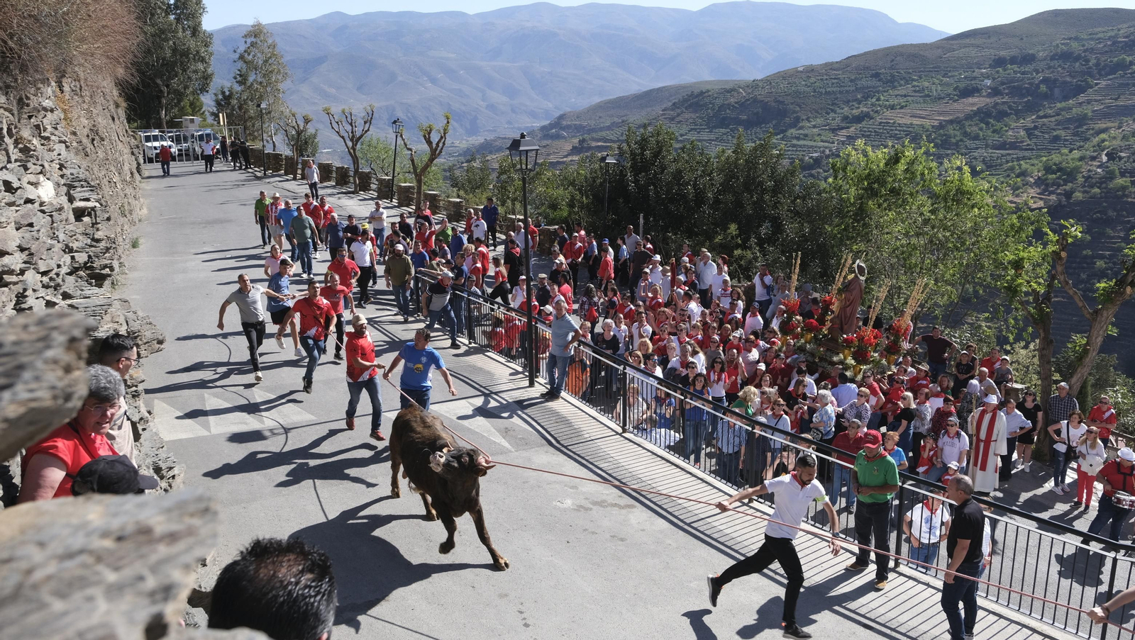 Imágenes de los toros ensogaos y San Marcos, en las Fiestas de Ohanes