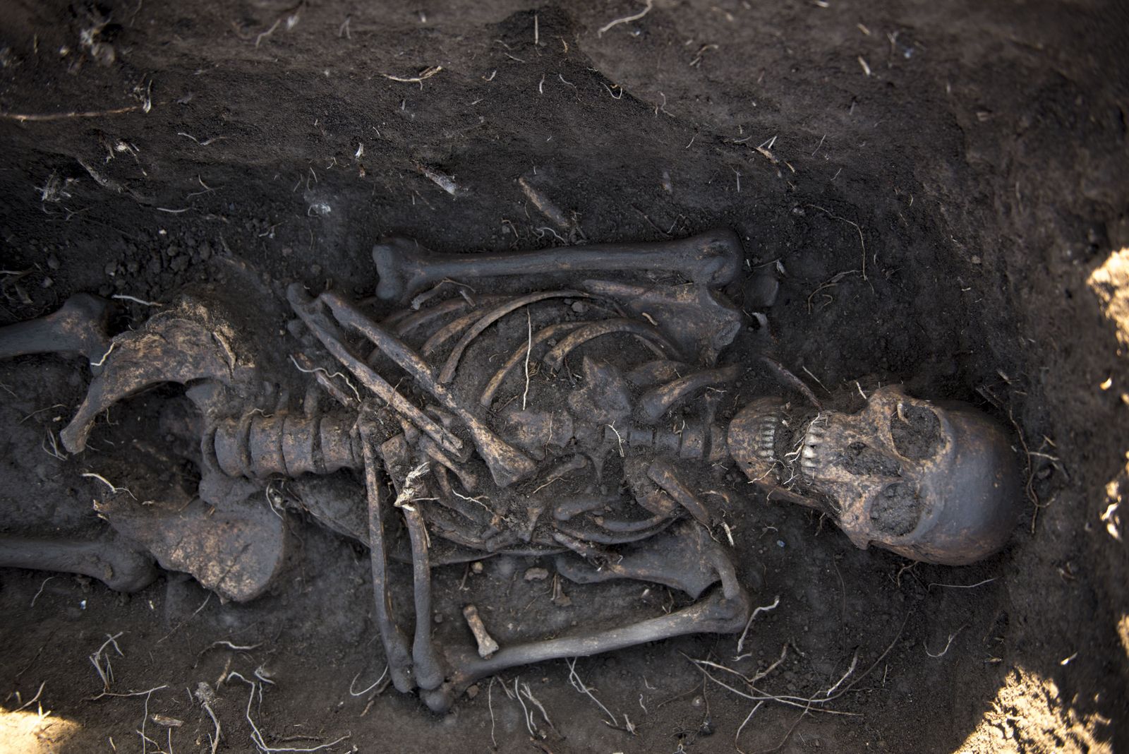 Nuevos hallazgos en Los Mondragones