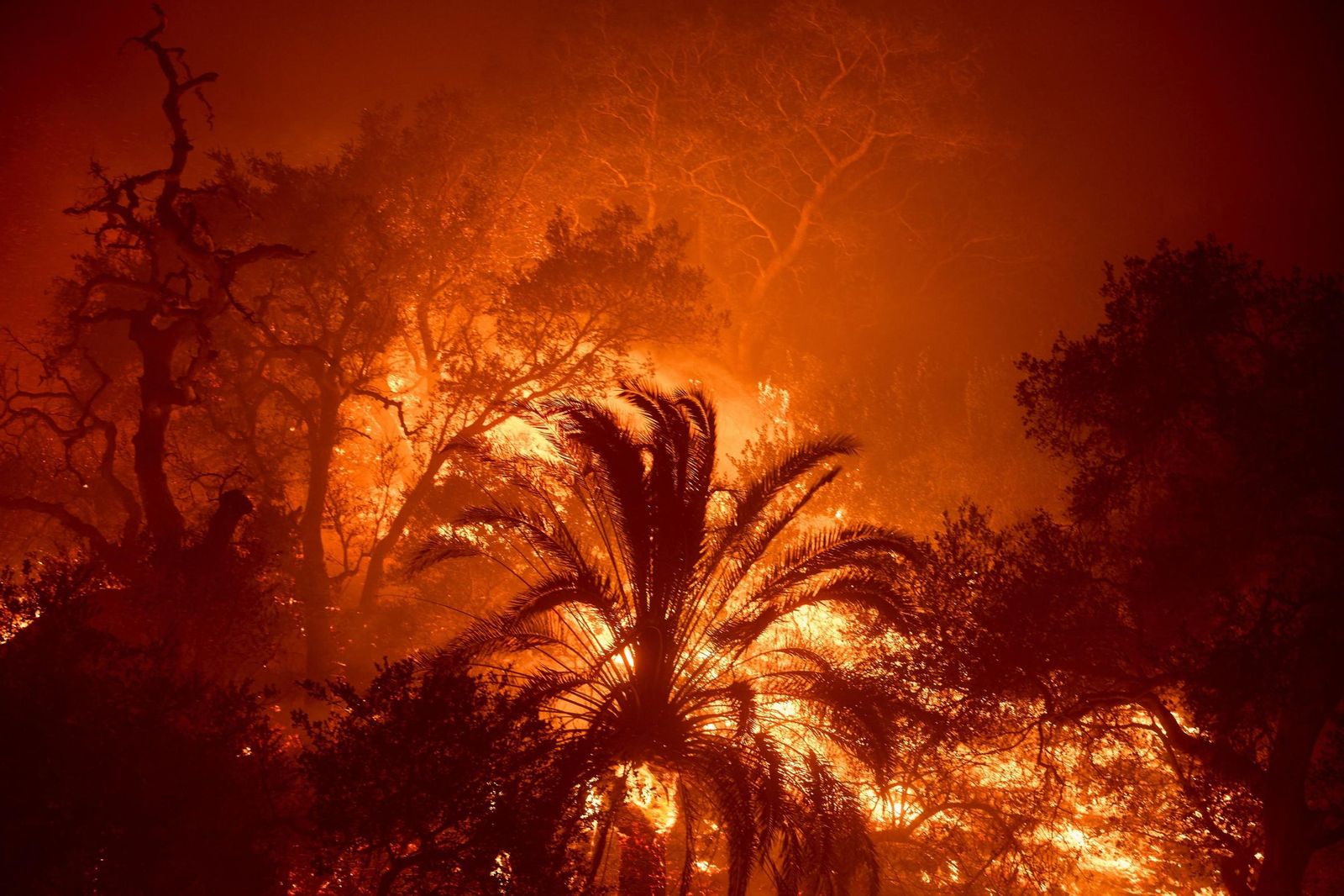 Las impresionantes imágenes del incendio Franklin que azota Estados Unidos