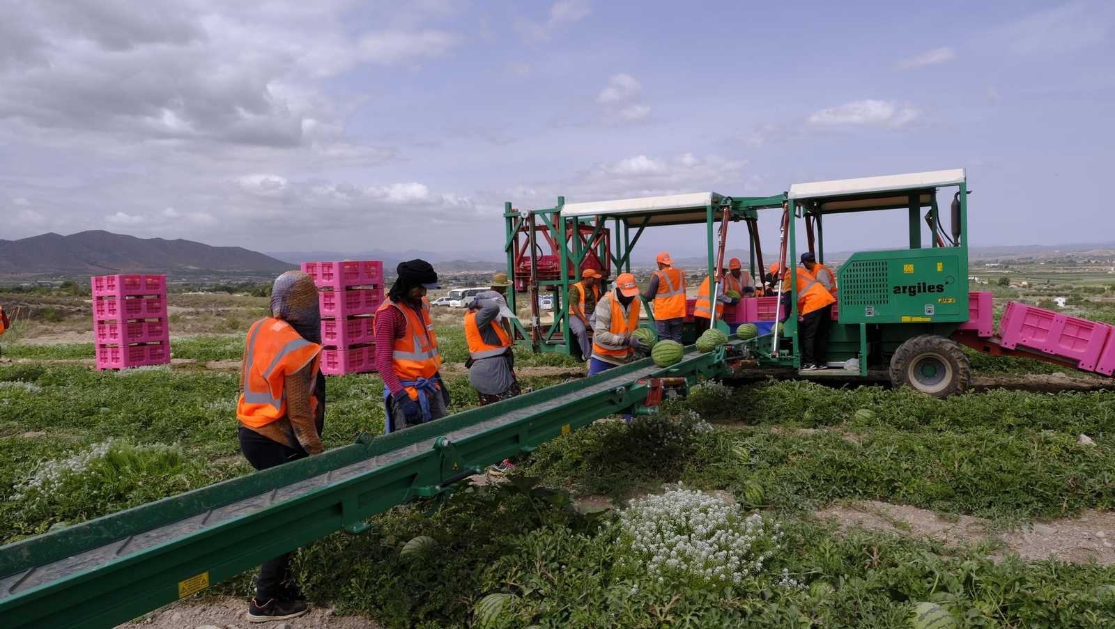La sandía y el melón de Huércal Overa, manjares en imágenes