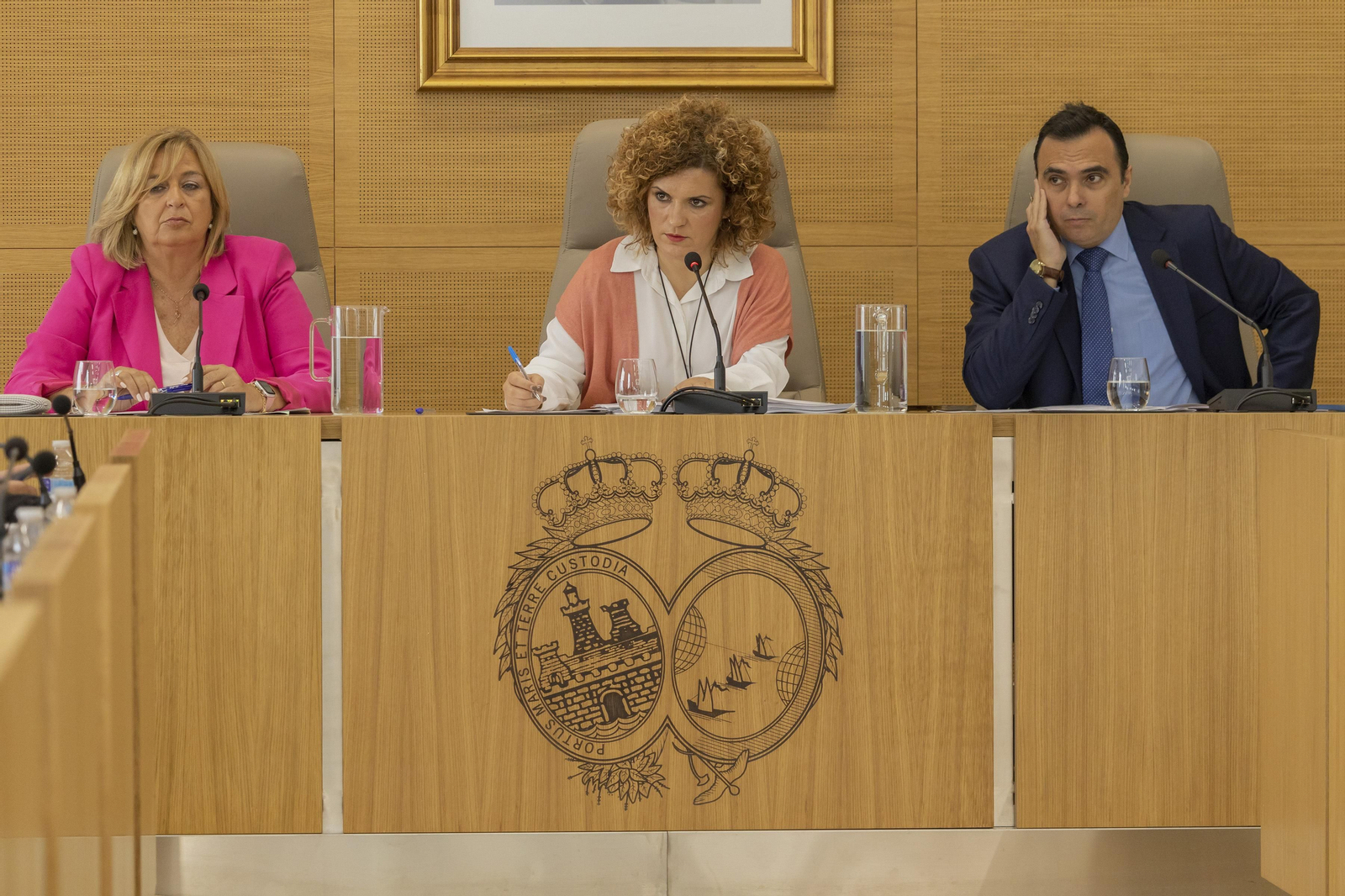 Imágenes del pleno celebrado en la Diputación