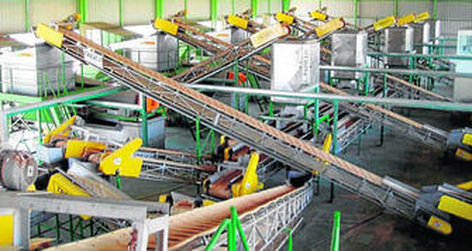 El olivar, un referente comarcal