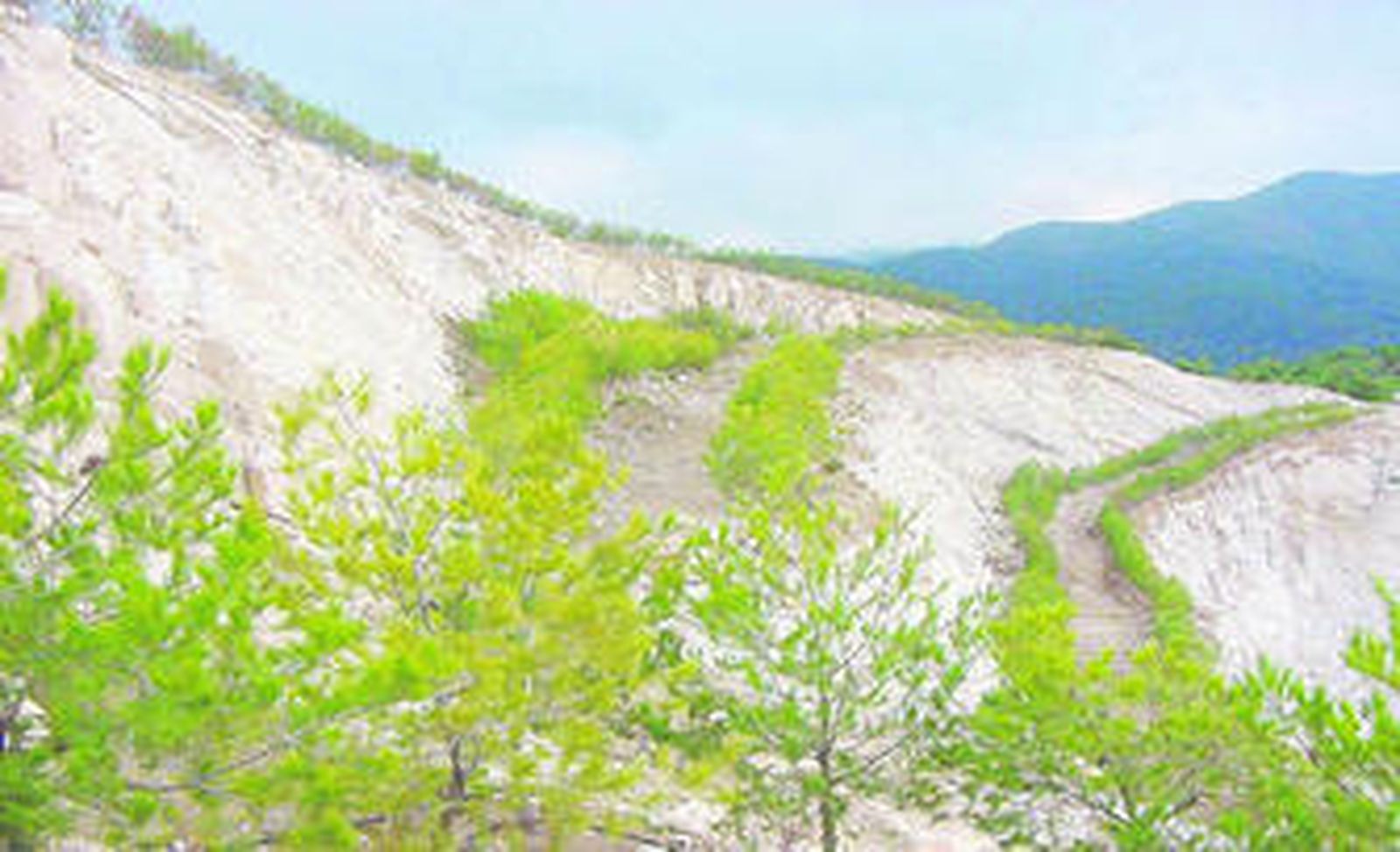 Restauración de la cantera Isabel en Ronda, Málaga, explotada por Holcim.