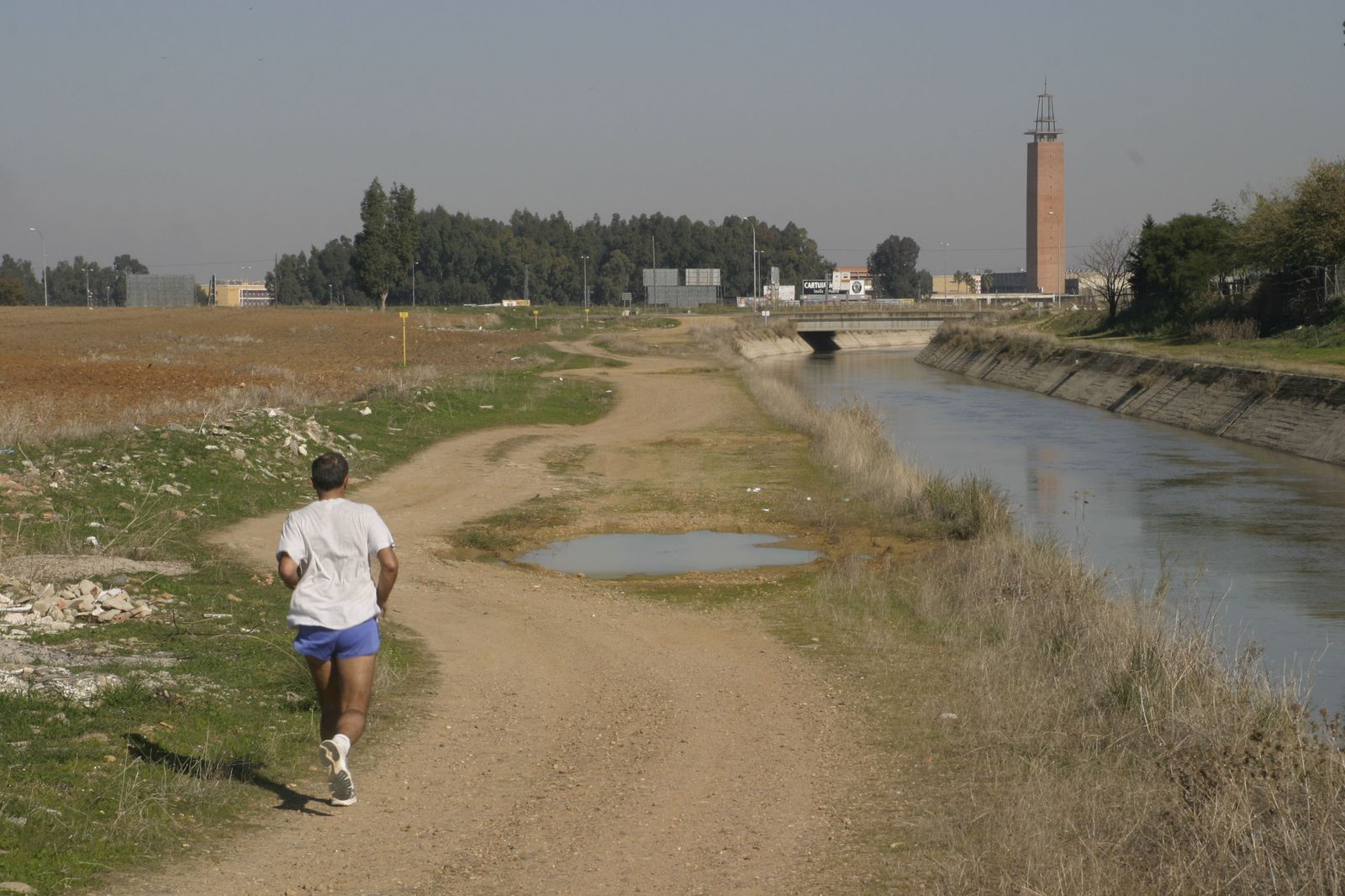 Un hombre corre junto al Canal de los Presos a su paso por el término de Dos Hermanas, con la Olavide al fondo.
