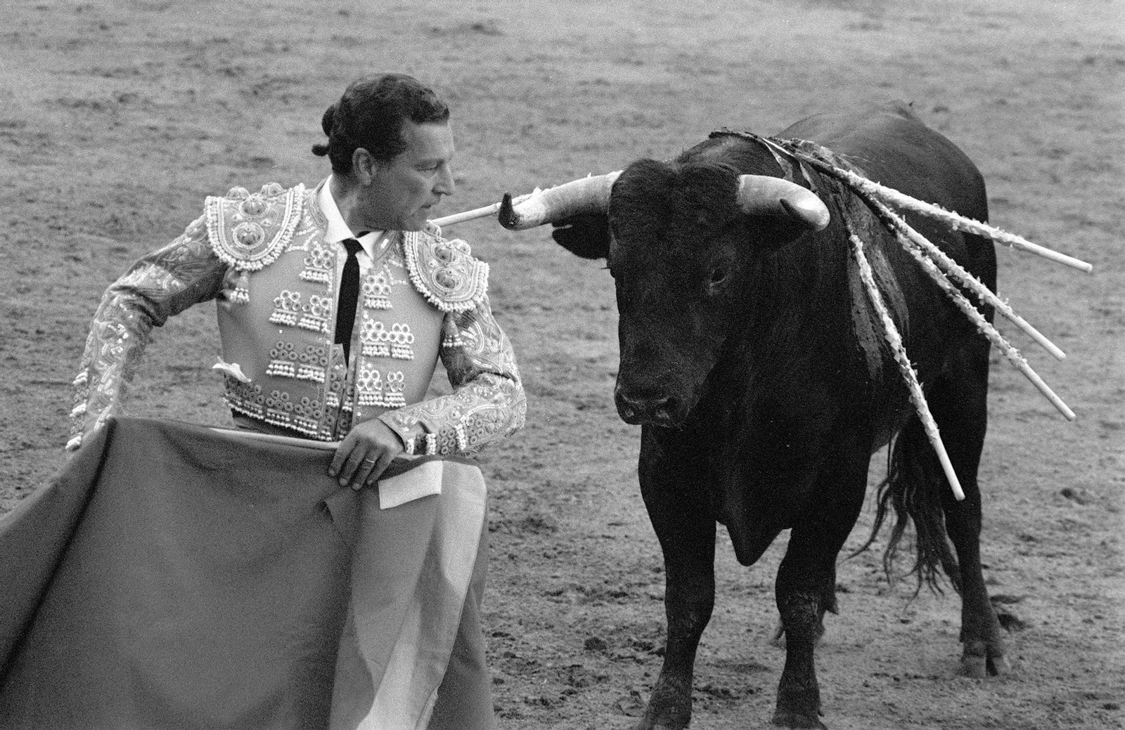 Antonio Bienvenida se adorna en la cara del toro tras rematar una serie el 22 de mayo de 1973.