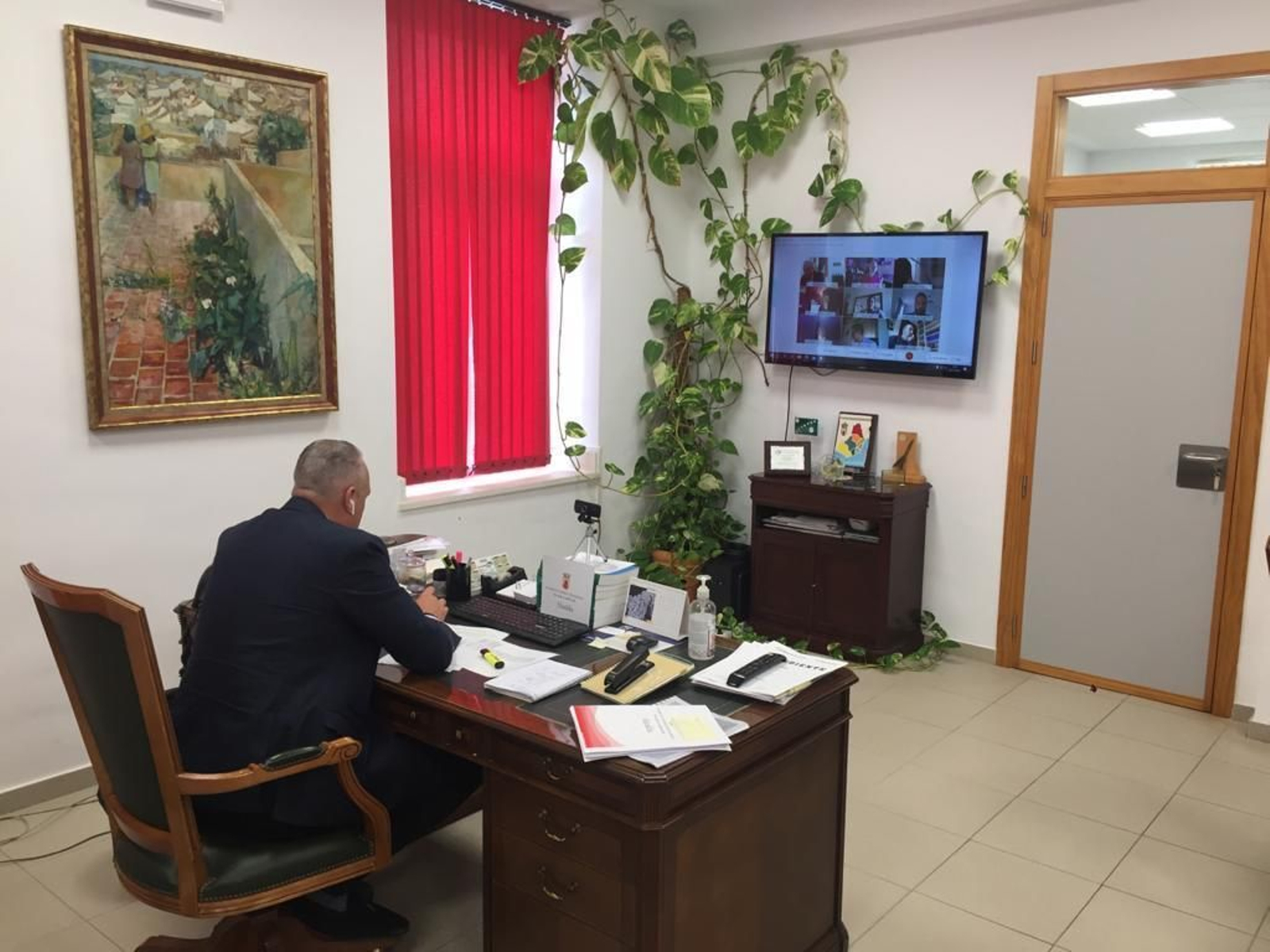 Ruix Boix en la videoconferencia con los grupos políticos de Diputación.