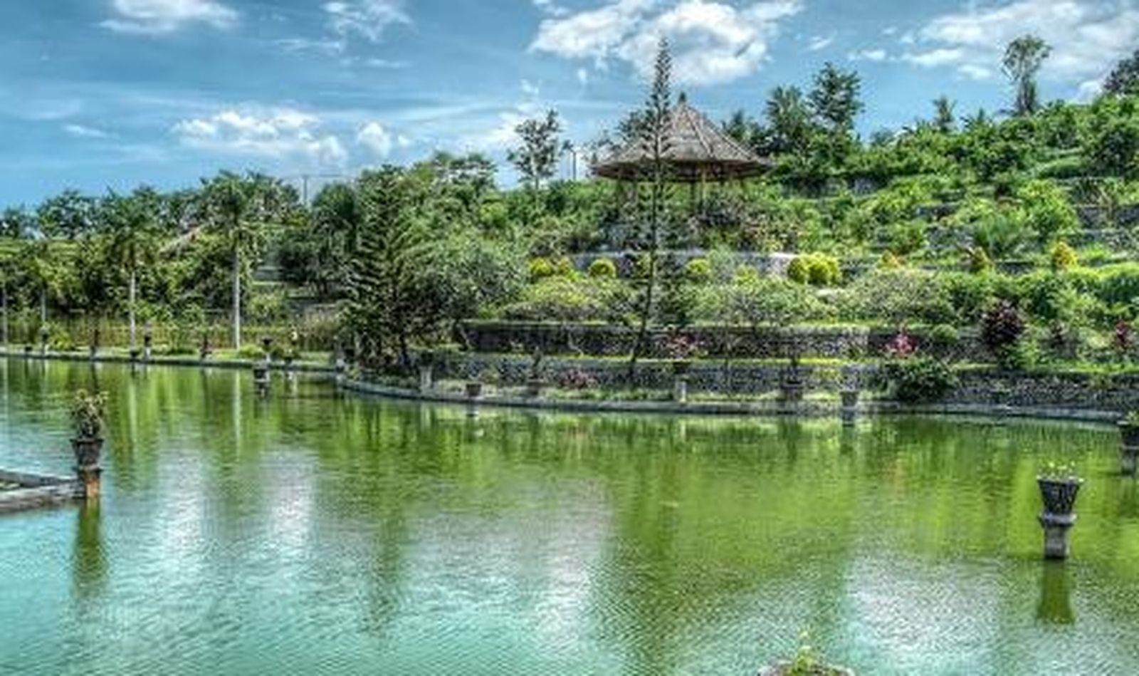 Bali prohíbe a los turistas subir a los  árboles sagrados y emplear palabras malsonantes