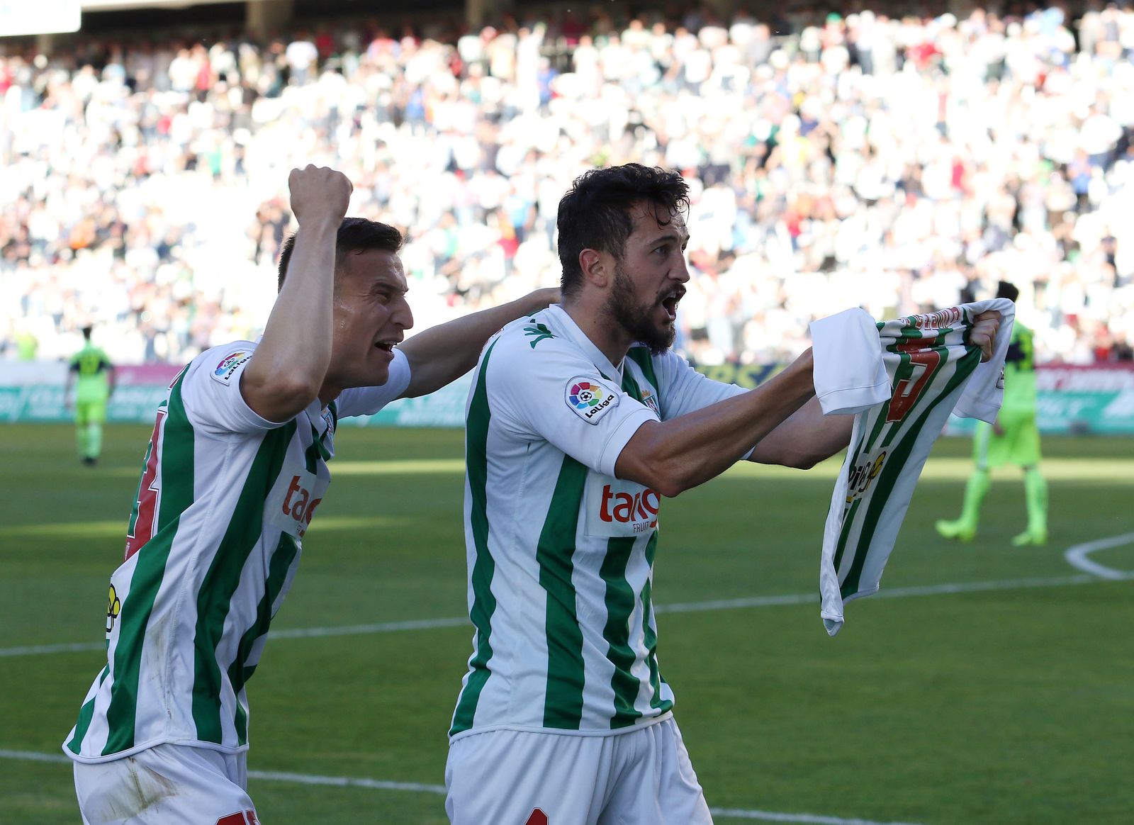Las imágenes del Córdoba-Elche